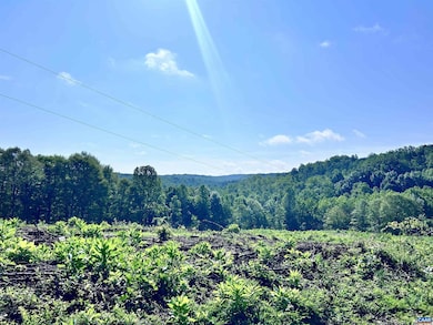 0 Hunting Lodge Rd unit 667063, Schuyler, VA 22969 - photo 4