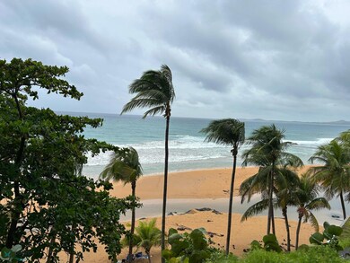 10 Sandy Hills, Luquillo, PR 00773 - photo 7