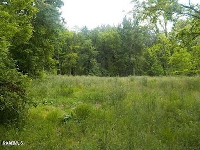 0 Lea Lakes Rd unit 1220944, Blaine, TN 37709 - photo 5