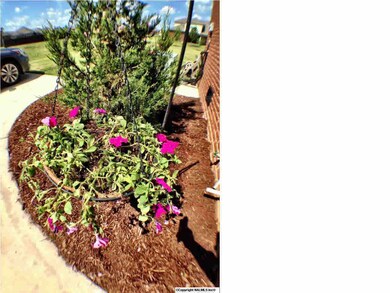 ANOTHER VIEW OF THE LANDSCAPING!