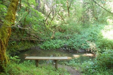 1125 Dutcher Creek Rd, Grants Pass, OR 97527 - photo 5