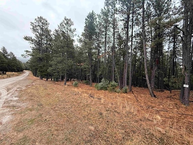 Lot 80 San Juan Dr, Angel Fire, NM 87710 - photo 4