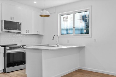 172 Lexington Ave unit 1, Cambridge, MA 02138 - photo 3