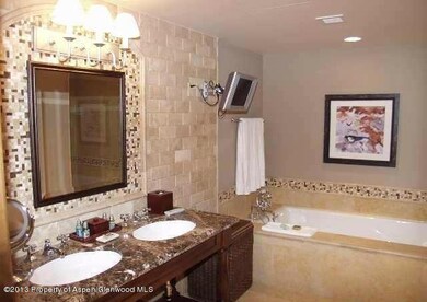 415 E Dean Unit 50 Week 7, Aspen, CO 81611 - photo 7