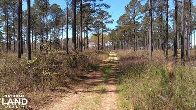 0 County Road 18 unit 15525411, Headland, AL 36345 - photo 4