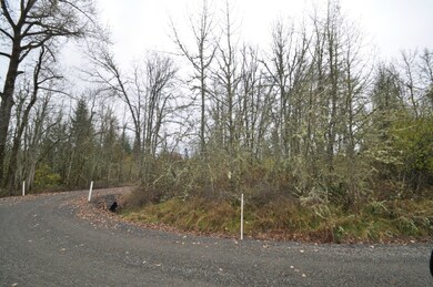 8 Thimbleberry Ln SE, Yelm, WA 98597 - photo 7