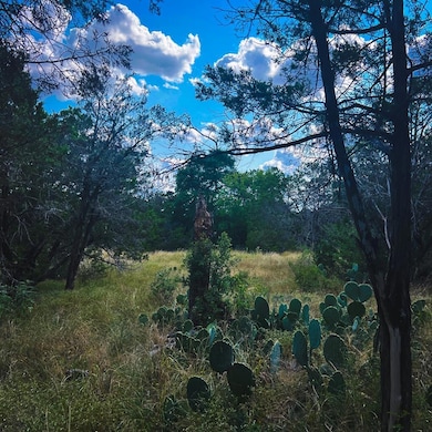 163 Angus Trail unit 1, Canyon Lake, TX 78070 - photo 2