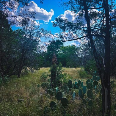 163 Angus Trail unit 2, Canyon Lake, TX 78070 - photo 2