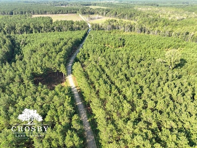 0 Lindsay Rd, Round O, SC 29474 - photo 2