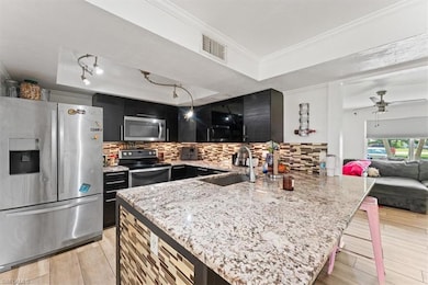 Kitchen featuring appliances with stainless steel finishes, dark cabinets, a tray ceiling, a peninsula, and decorative backsplash