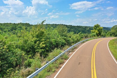 0 Highway 128 unit 2183113, Linden, TN 37096 - photo 7