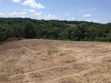 4260 Bear Hollow Rd, Jane, MO 64856 - photo 3