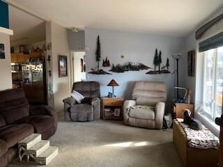 living room 1