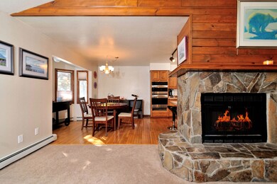 Living Room w/Vaulted Ceilings