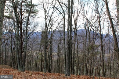 LOT 194 Lockinger Ridge Rd, Old Fields, WV 26836 - photo 2