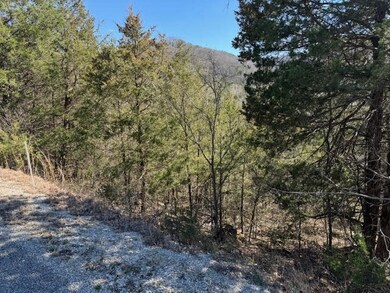 15 Mohawk Ln unit 12, Holiday Island, AR 72631 - photo 4