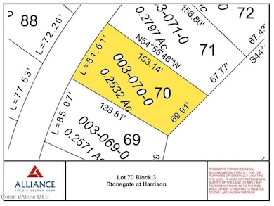 Lot 70 Zoom In