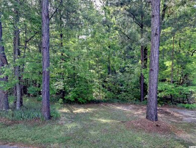 TBD Jungle Rd, Conway, SC 29526 - photo 2