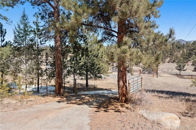 1819 Nova Rd unit 4, Pine, CO 80470 - photo 4