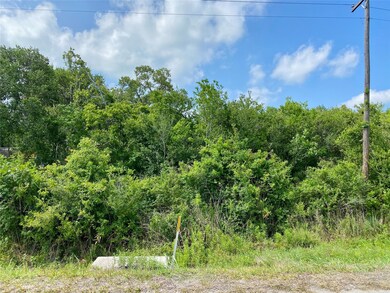 0 Georgian Way unit 7815774, Brazoria, TX 77422 - photo 3