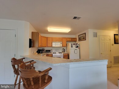 136 Wishing Star Ct unit 3B, Hagerstown, MD 21740 - photo 7