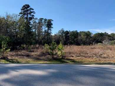 33169 Wedgewood Dr, Magnolia, TX 77354 - photo 5