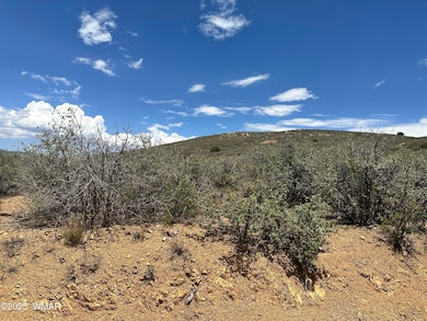 00 S Dewey Overlook Way, Dewey, AZ 86327 - photo 6