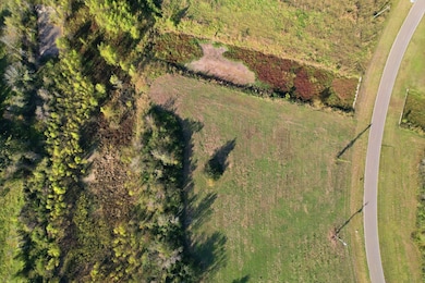 22810 Pittman Dr, Angleton, TX 77515 - photo 6