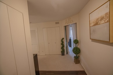 4050 Dundee Rd unit 203K, Northbrook, IL 60062 - photo 5