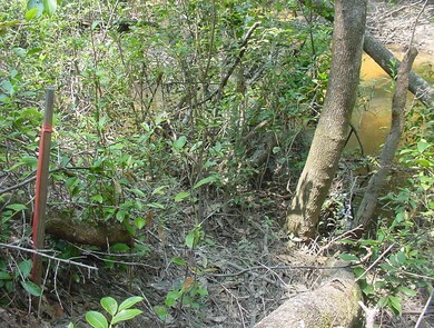 Survey Marker toward back of Property