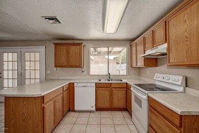 1620 W Palomino Dr Chandler (2)