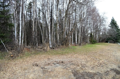 Lot View