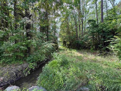 View of wooded area