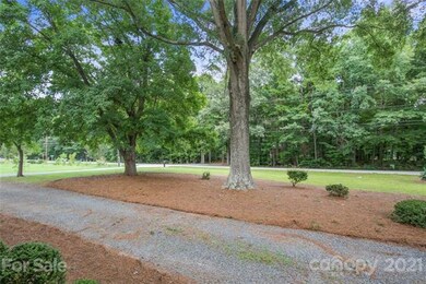 Mature trees & shrubs