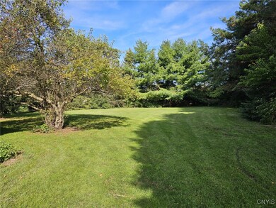 8137 Grant Avenue Rd, Weedsport, NY 13166 - photo 6