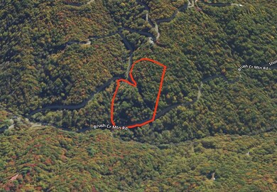 Lot 39 Brush Creek Mountain Rd, Bryson City, NC 28713 - photo 5