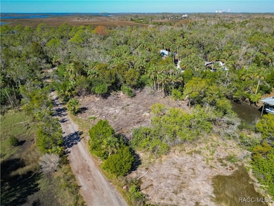 12193 W Bald Eagle Ct, Crystal River, FL 34429 - photo 6