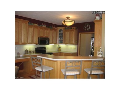 4393 Apple Orchard, Rootstown, OH 44272 - photo 5