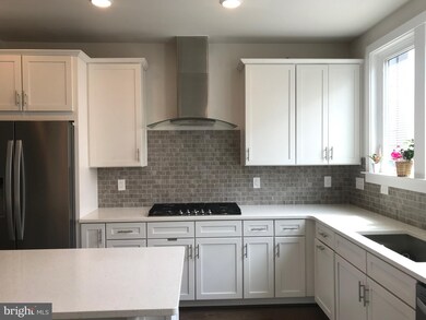 13342 Sherwood Park Ln, Herndon, VA 20171 - photo 4