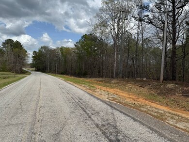 0 Berney Station Rd unit 11477272, Talladega, AL 35160 - photo 6