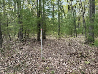 0 Critter Trail unit Parcel C, Filer Charter Township, MI 49660 - photo 6