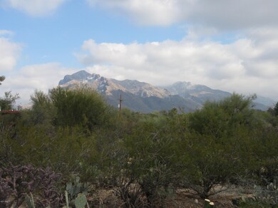 Pusche Ridge Views