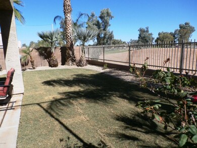 Backyard 1