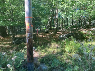 Lot 176 Tink Wig Dr, Lackawaxen Township, PA 18428 - photo 7