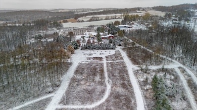 7625 Hallock Rd, Bloomfield, NY 14469 - photo 3