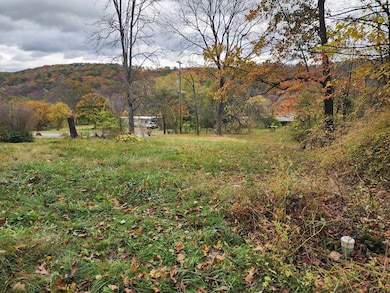 12522 Turkey Farm Rd, Huntingdon, PA 16652 - photo 5