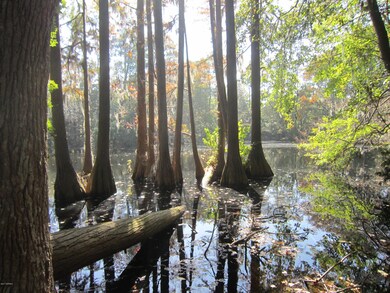 3505 Whimsy Way, Wilmington, NC 28411 - photo 5