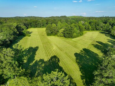 0 Howells Cove Rd unit 24364400, Talladega, AL 35160 - photo 4