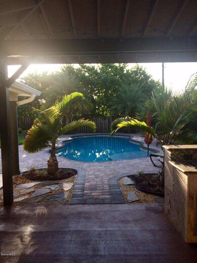 Tropical Backyard
