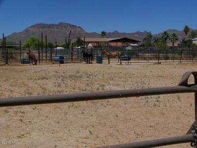 Horse property